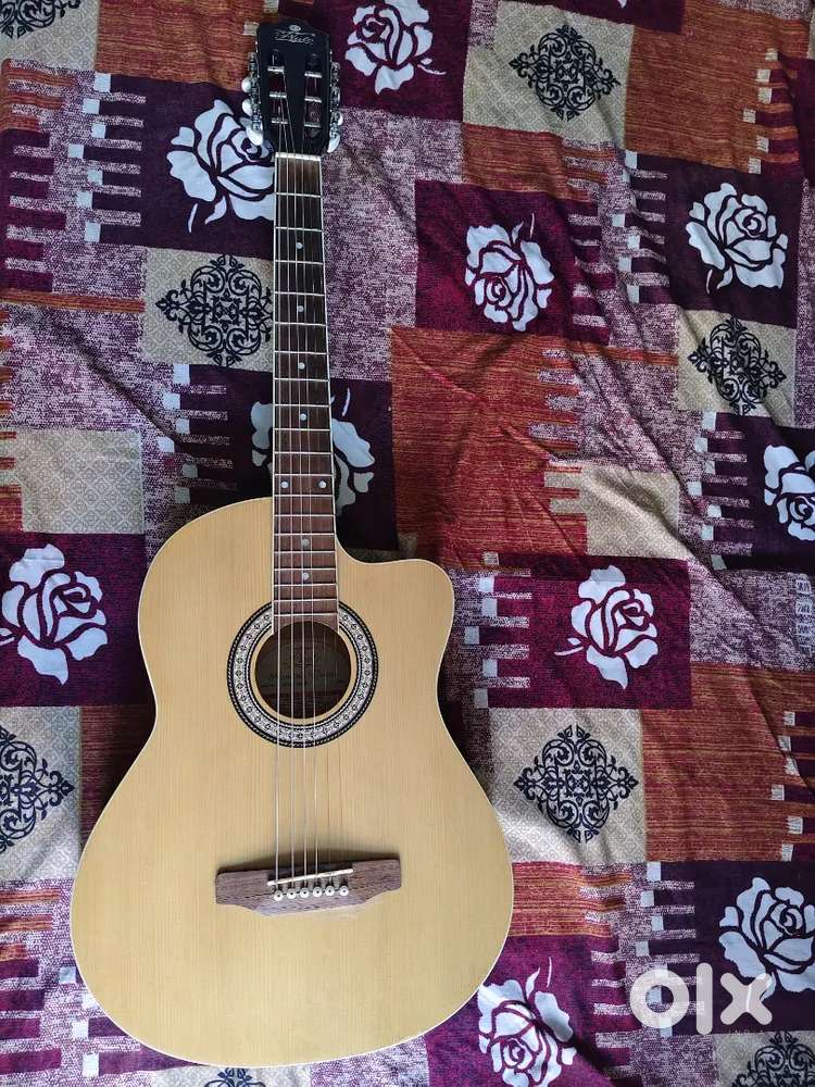 Acoustic Guitar(Pluto HW39C -201N)