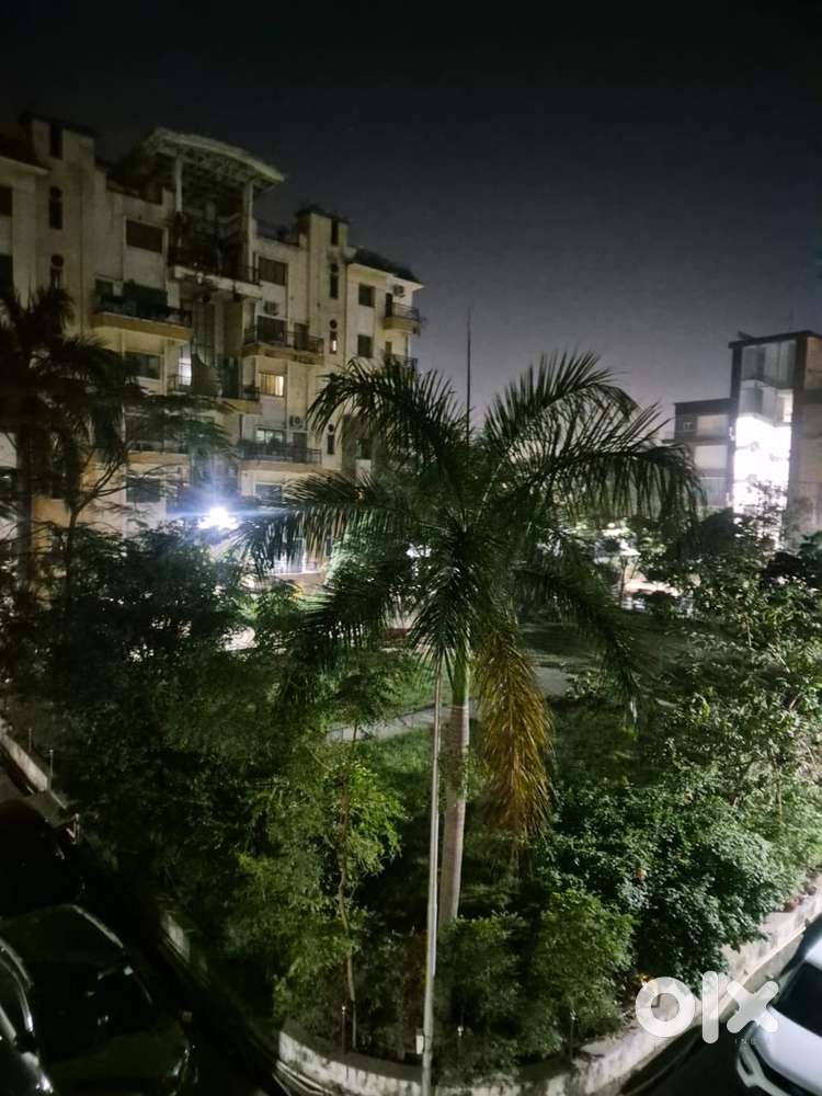 Need female flatmate