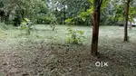 1.13 acre for sale