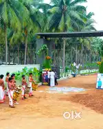 Coconut farm land sale in othakalmandabam