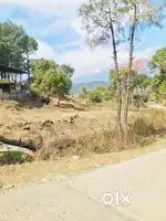 Land For Sale In Bhattu Near Bir Billing