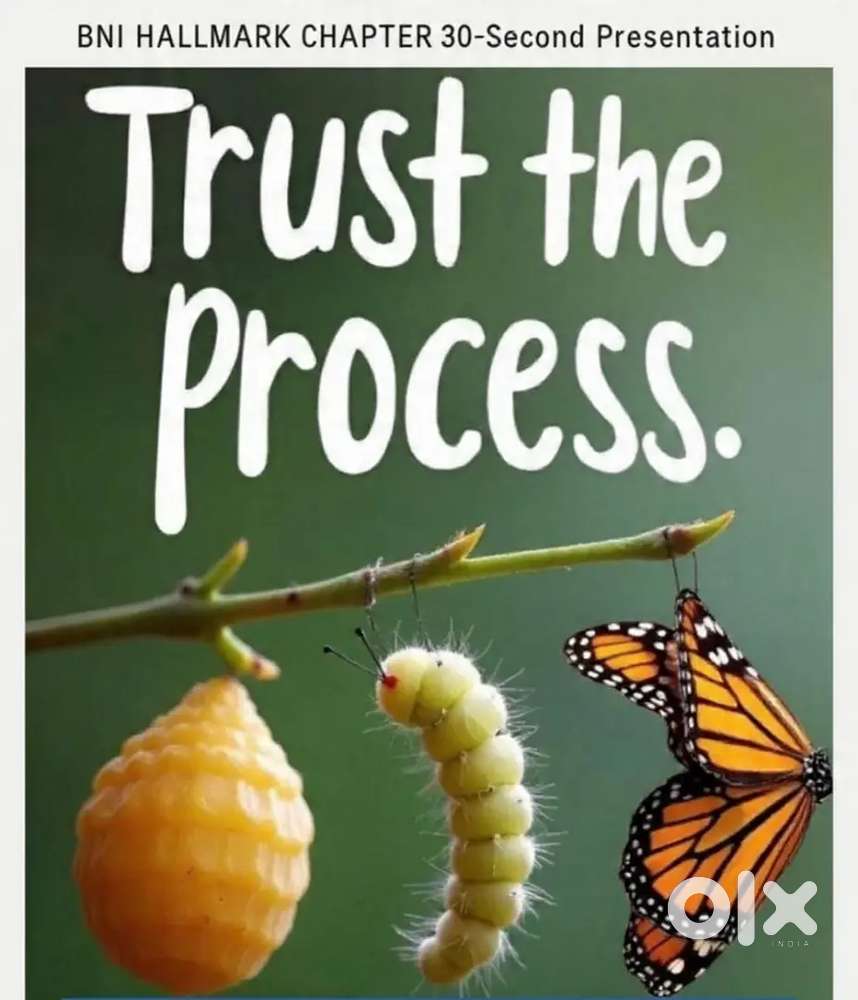 Digital Marketing Executive