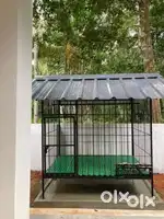 Helper for dog shelter