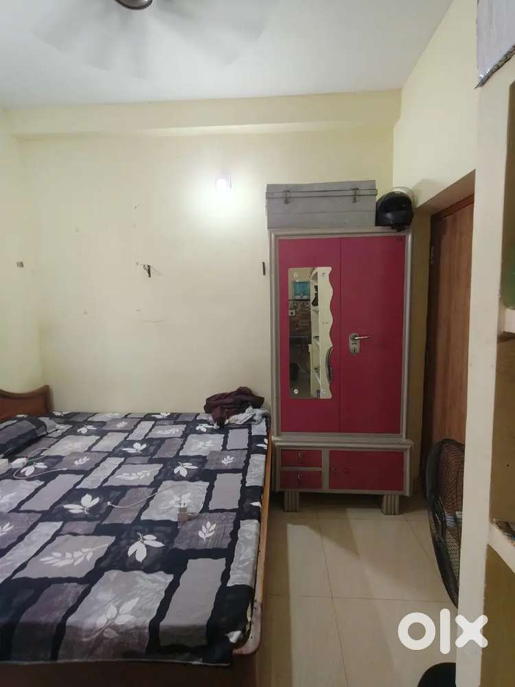 Need a good boy roommate