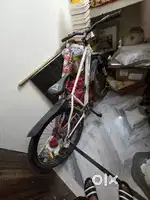 Model 2024