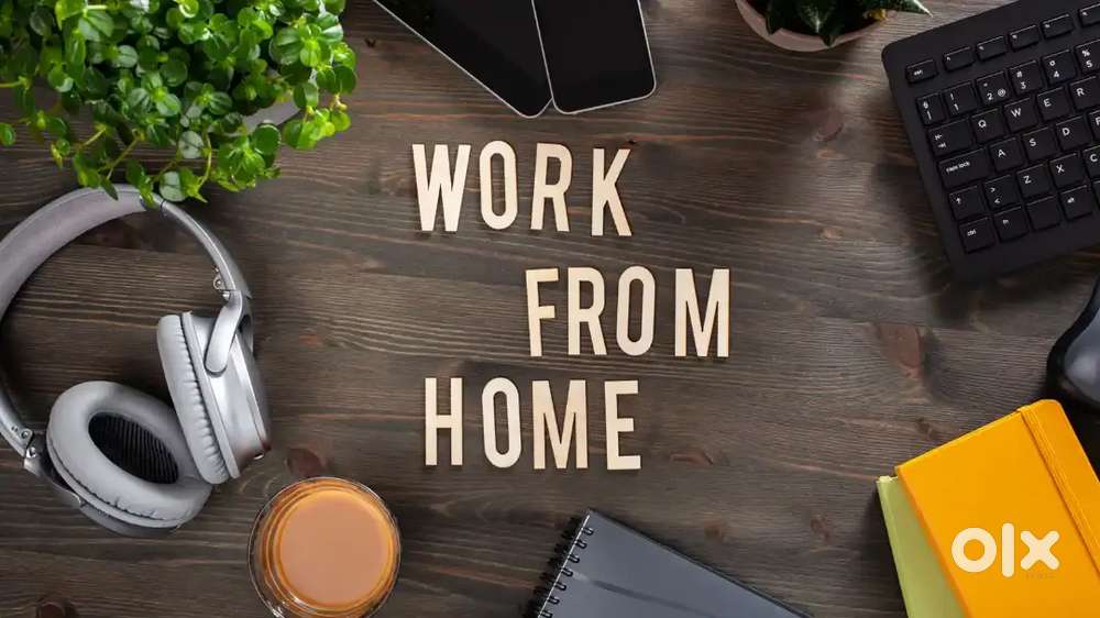 Work from home (free joining)