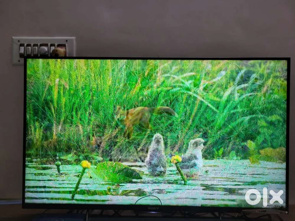 Sony Bravia LED 43 Inch