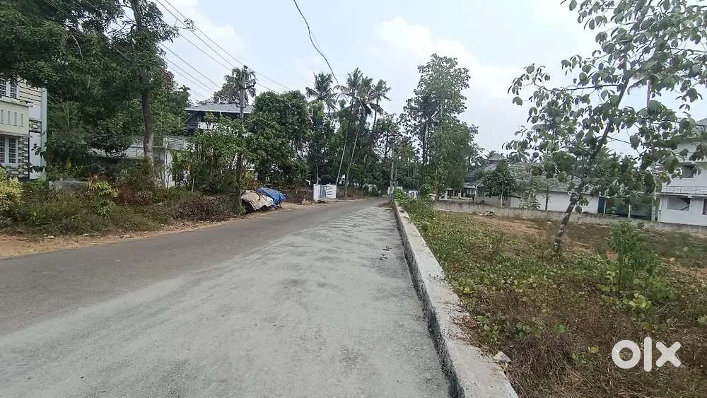ANGAMALY THURAVOOR JUNCTION NEAR BY 5,6,8, 10 CENT PLOTS AVAILABLE