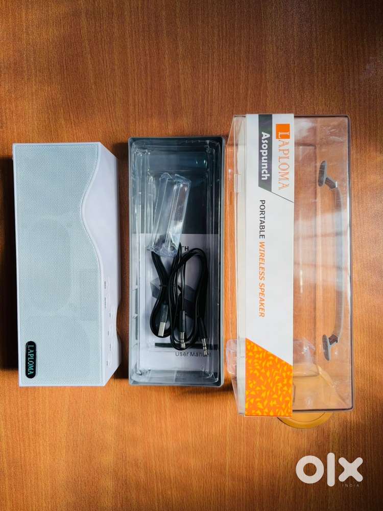 Laploma Asopunch Portable Wireless Speaker