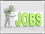 Fresher's,housewife and retired person both can join this job