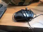 Lovely Computer Mouse