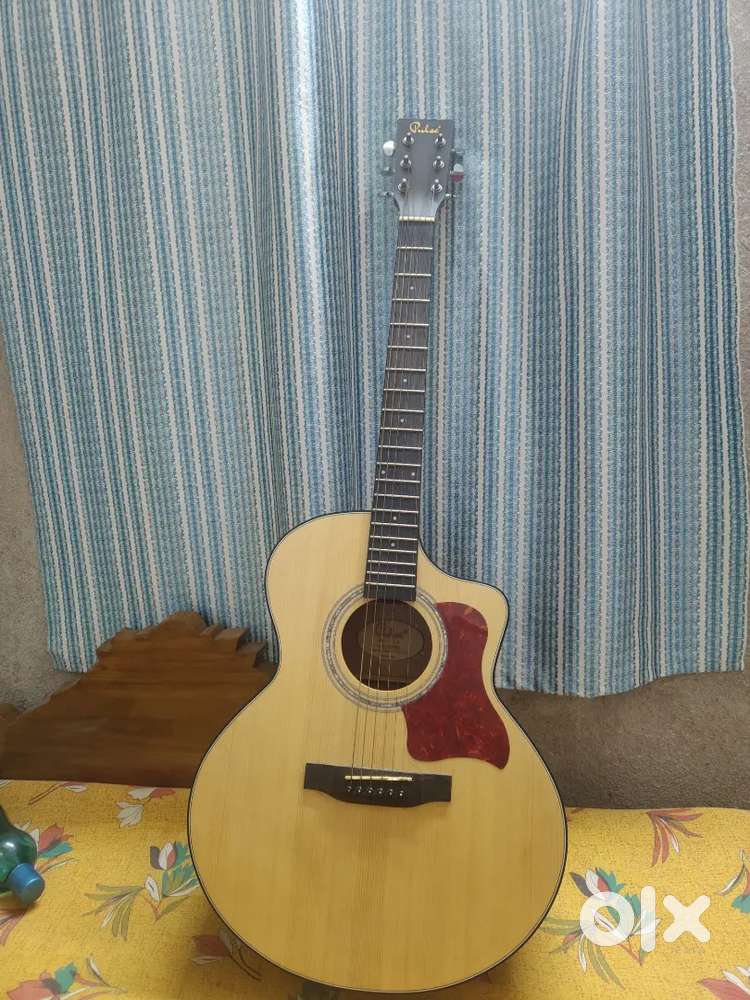 Guitar(SX -2000)