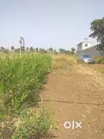 Irrigated farmland with posh rooms at 40kms from Nagpur