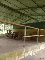 12 cent plot  with a building on muthukulam