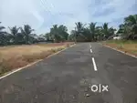 Near by 500 MTRS from madurai to natham main road