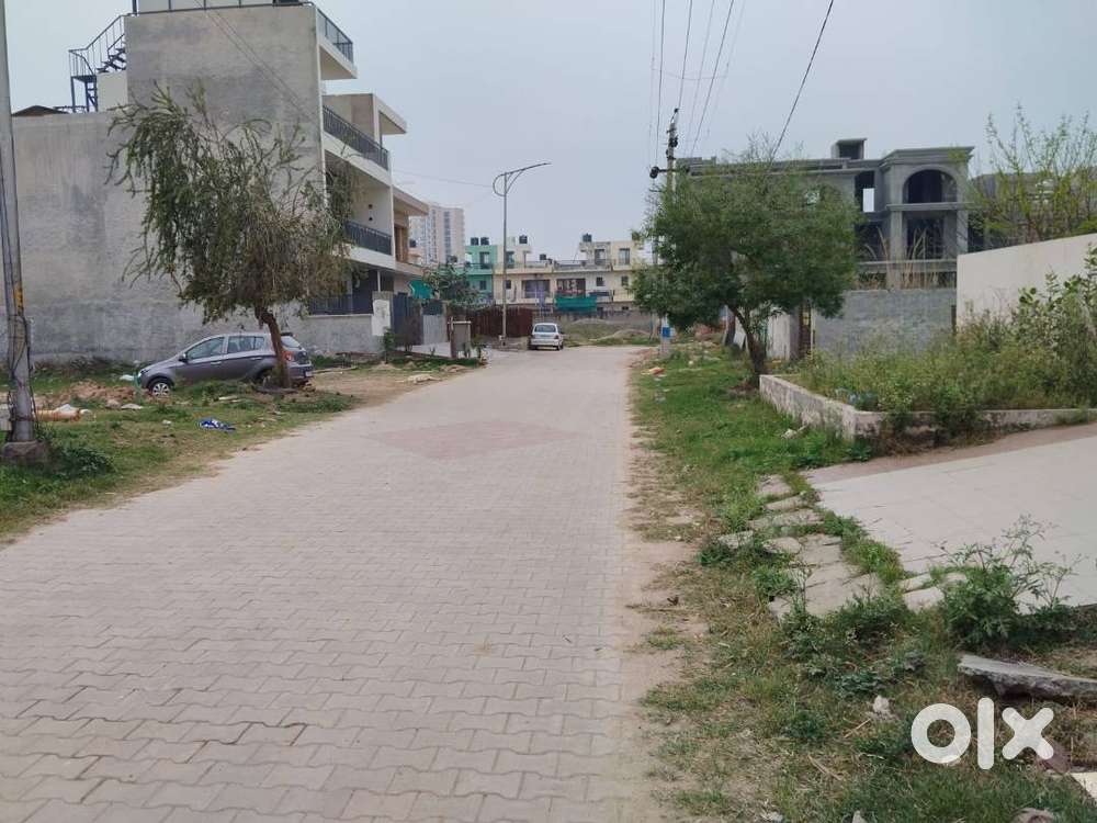 Tdi City Plot 233 Yard Sector 117 Mohali