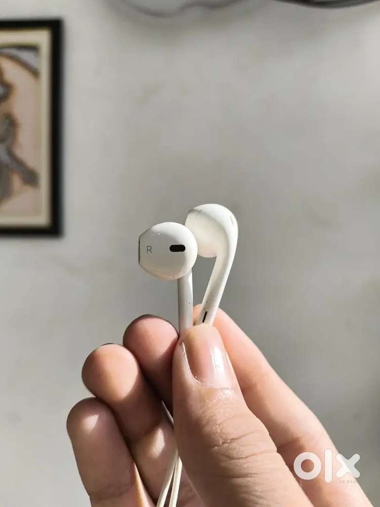 Apple earpods