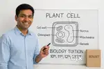Biology / Botany Tutor – Part-Time Classes for School & NEET Students