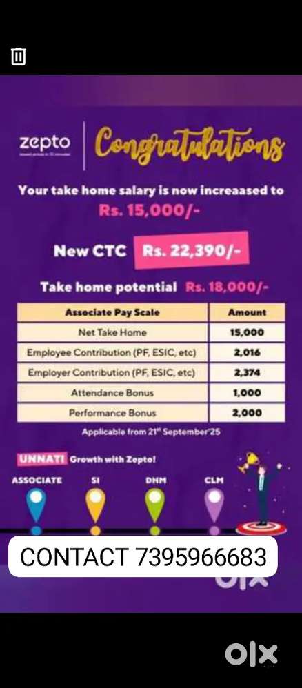 ZEPTO PACKER , PICKER