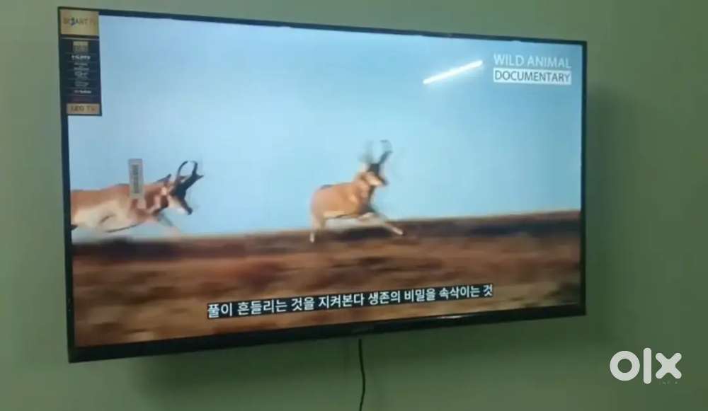 32 inch sony smart Android frameless oled 4k 3yr display waranty 8500