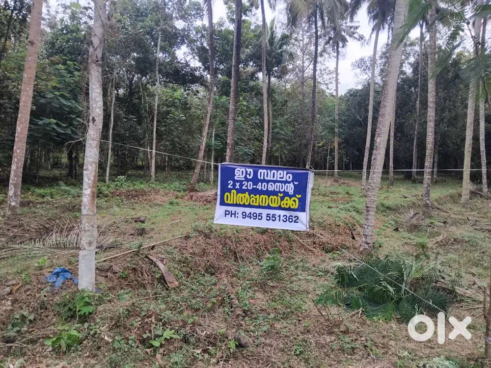 40 cents road side plot for sale