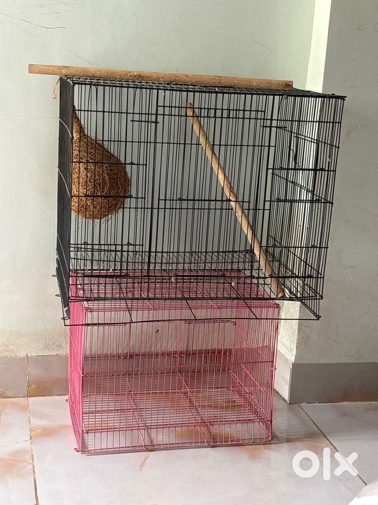 caje new urgent sell