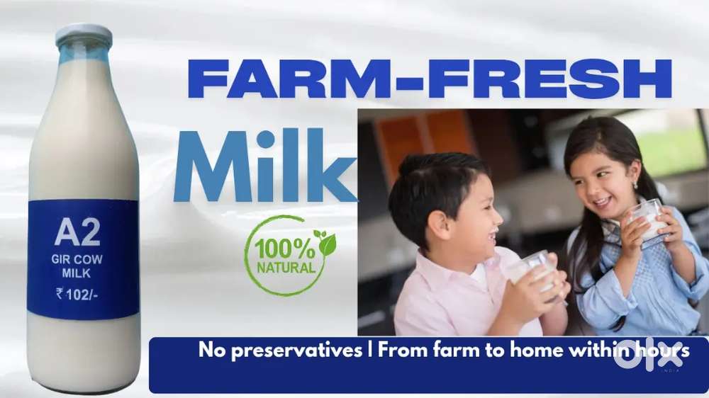 Marketing Experience 5 years