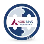 Axis max life insurance