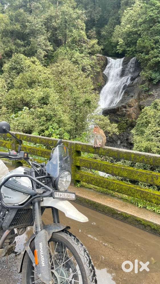 Very well maintained and full showroom service history