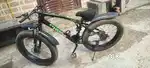 Pelican fat bike cycle