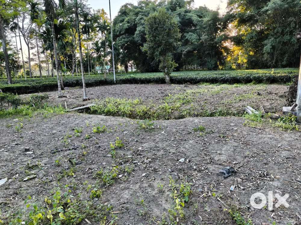 A plot of land consisting 3katha near to about 1km from bokpara bypass