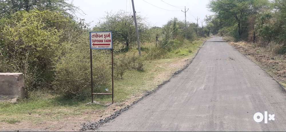 Road touch 11 vigha mango farm Agriculture land in Savli For Sell