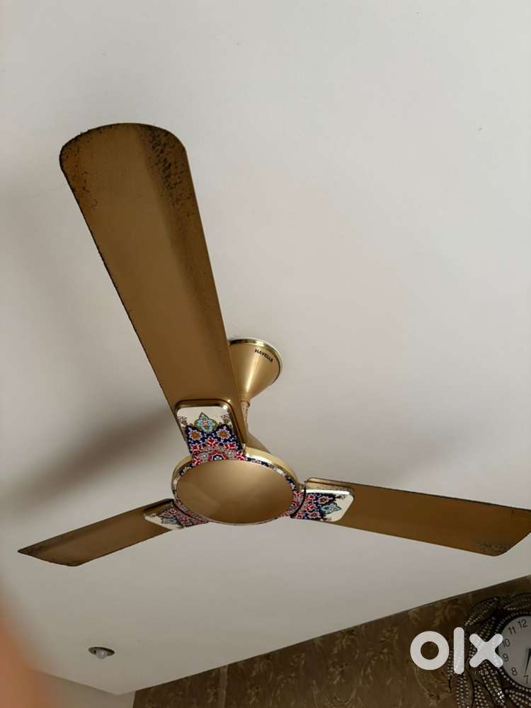 Fans available for sale
