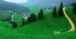 600acre Plantation Estate sale at kumaly idukki
