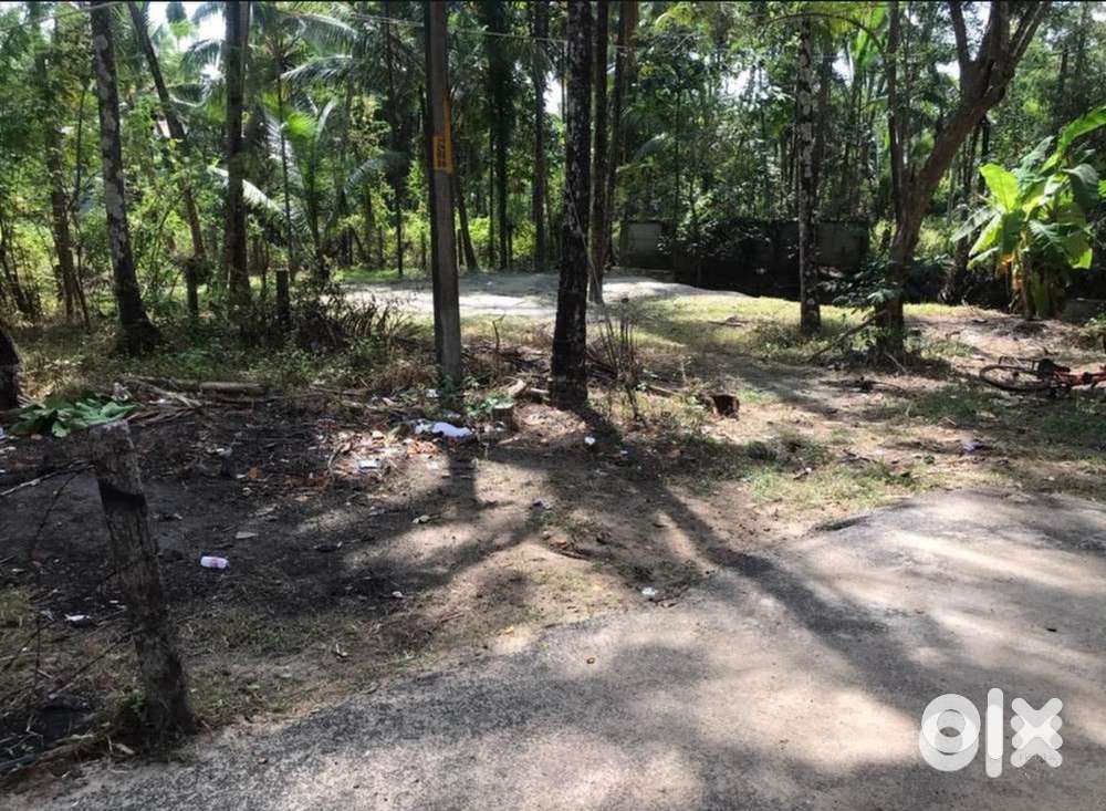 9 cent plot for sale in guruvayur