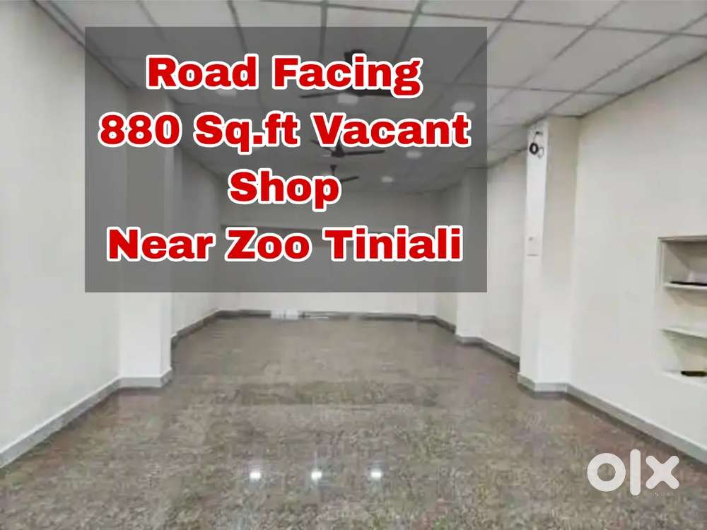 Road Facing Vacant Space Near Zoo Tiniali