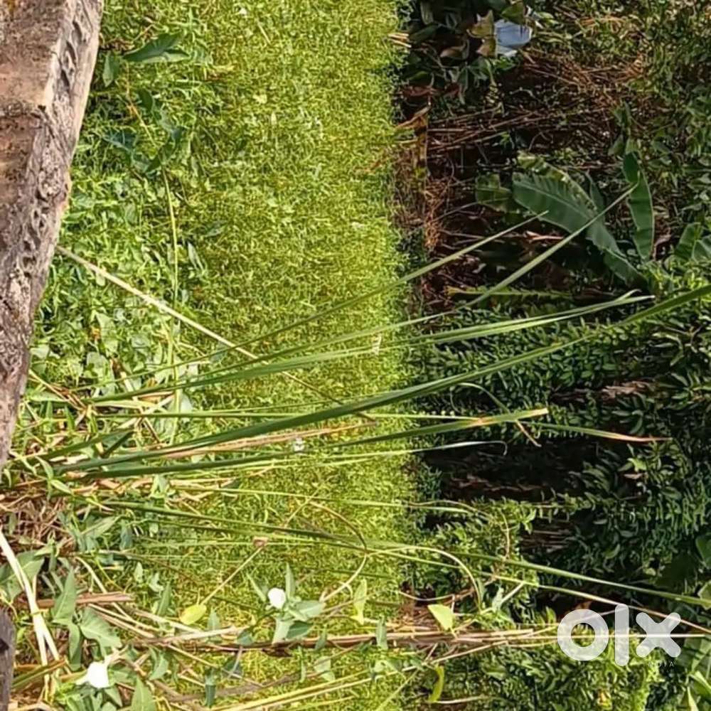 A 2 katha land sale very urgent need