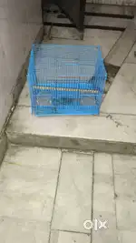 Bird house