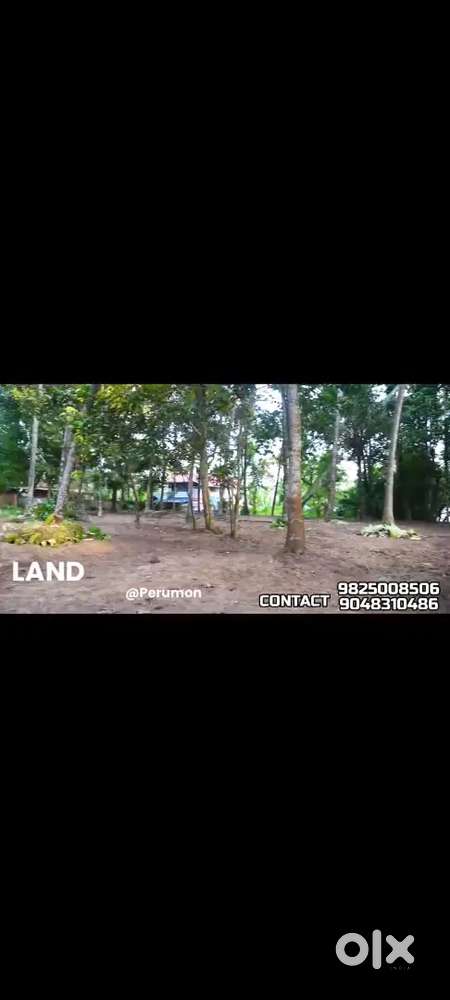 Plot For Sale