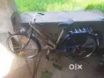 Electric cycle