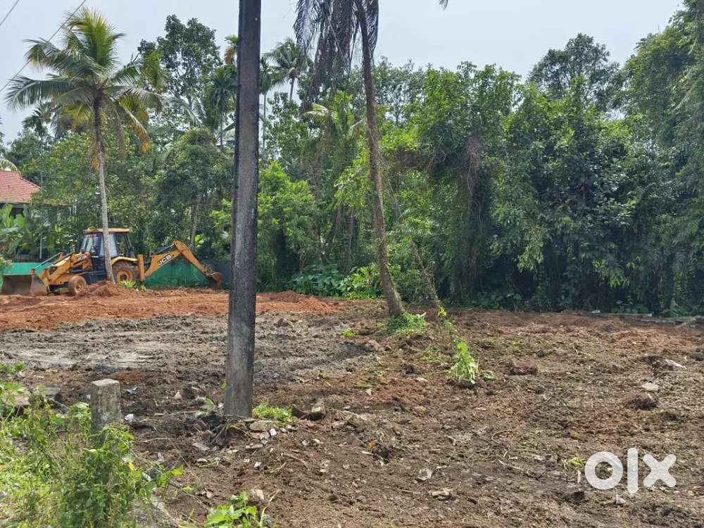 Near new theater vykom