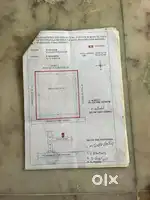 Excellent plot