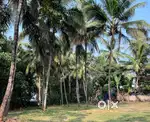 House Plot For Sale In Koottanad