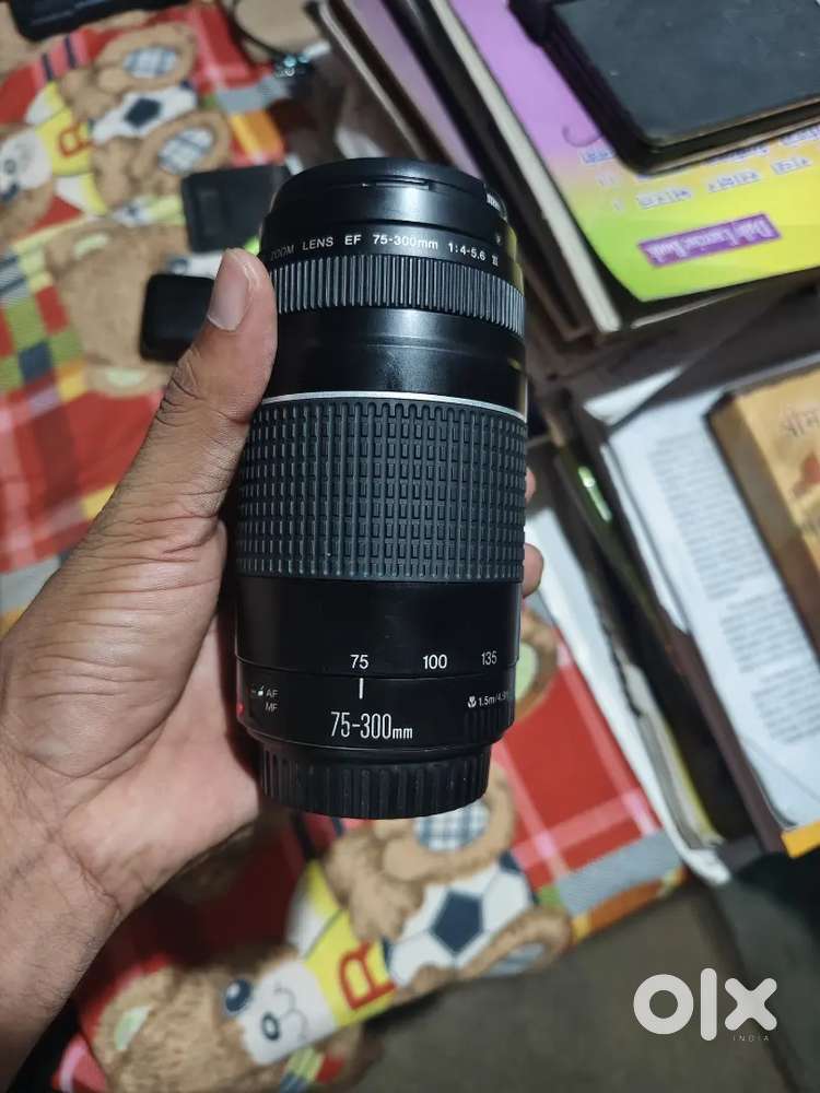 Canon 70 300 mm lens