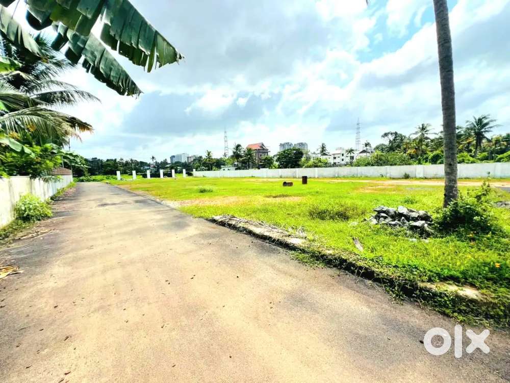 4AND MORE CENT ORGINAL LAND FOR SALE IN KAKKANAD NEAR THUTHIYOOR