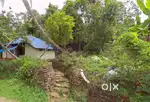 9 cent plot for sale in Kolenchery