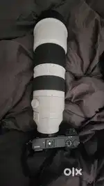 Sony 200  600 mm wide life lens only