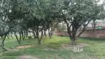 Ploting area land