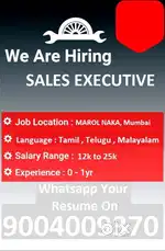 Sales Executive