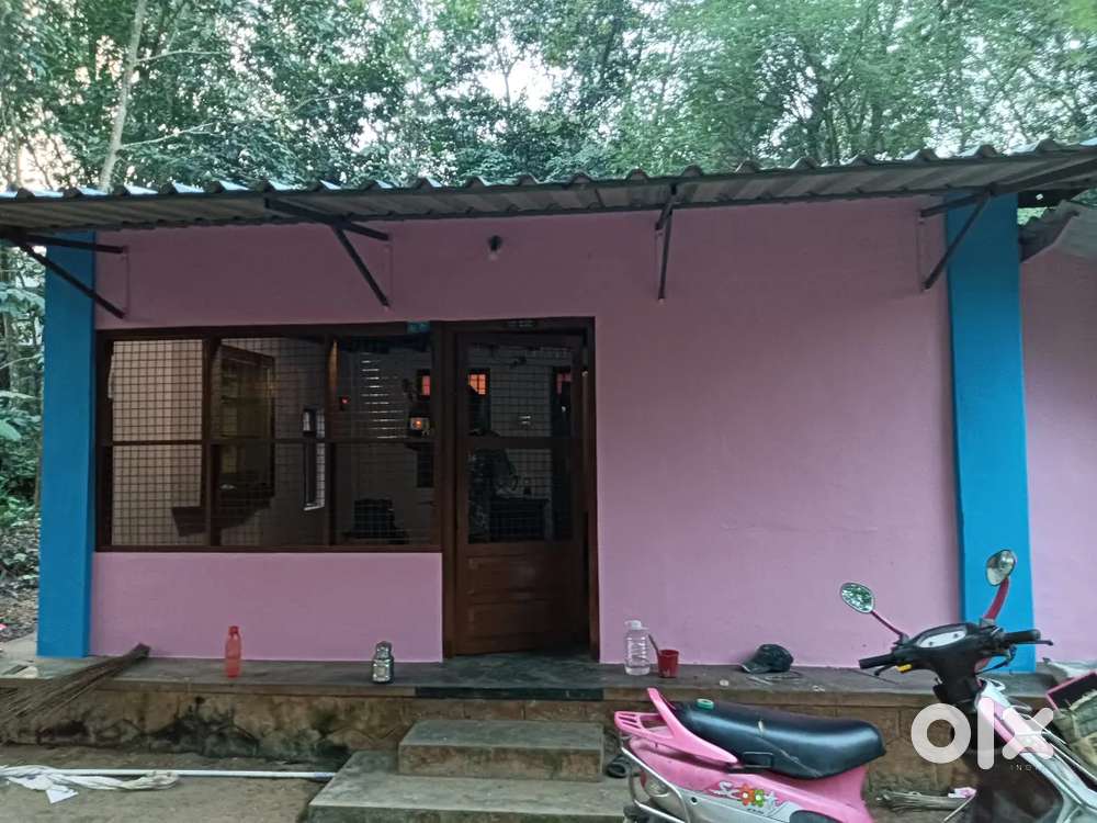 House for rent
